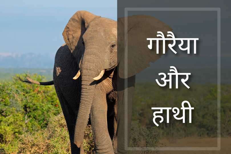 गौरैया और हाथी